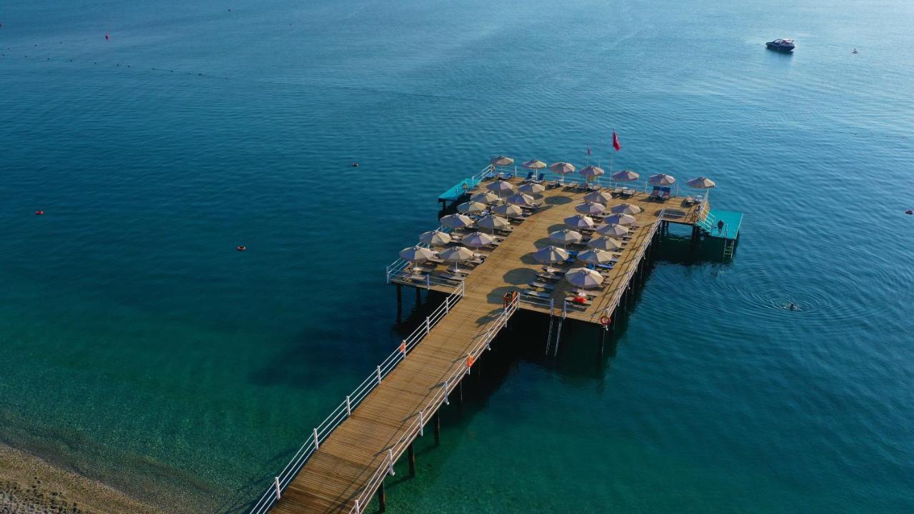 فندق تي تي هوتلز هيدروس كلوب كمر المظهر الخارجي الصورة The pier at the Dead Sea